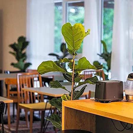 Hostel Dream Factory - Melk